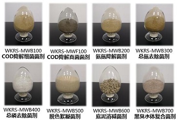 415e496e-1566-4867-ac94-21c045c1c49f V66.COM(中国区)官方网站