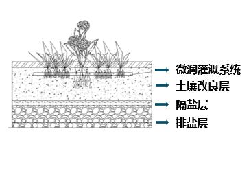 7e0ecf37-7efa-4043-8ca0-0c3aa2e5937f V66.COM(中国区)官方网站